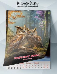 Календарь настенный, перекидной Эпичные совы на 2025 год