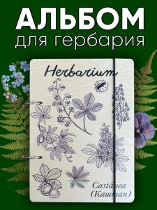 Альбом для гербария и коллекционирования трав, цветов и растений Каштан с калькой