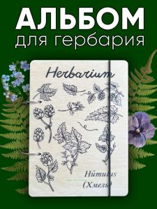 Альбом для гербария и коллекционирования трав, цветов и растений Хмель с калькой