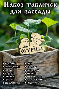 Набор декоративных табличек для рассады Гномы