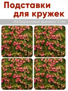 Подставки для кружек Лесной ковер, 4 шт (10 х 10 см), березовая фанера