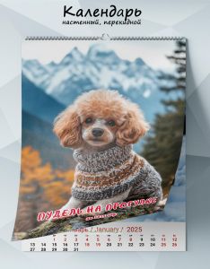 Календарь настенный, перекидной Пудель на прогулке на 2025 год