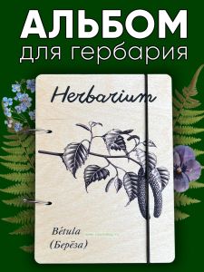 Альбом для гербария и коллекционирования трав, цветов и растений Береза с калькой