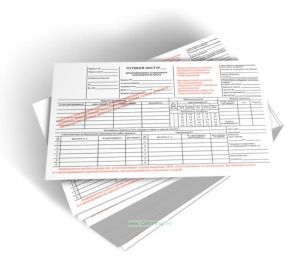 Путевой лист автомобильного (стрелового самоходного) крана