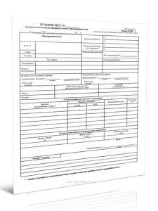 Путевой лист грузового автомобиля индивидуального предпринимателя ПГ-1