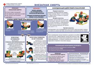 Комплект плакатов Первая медицинская помощь в чрезвычайных ситуациях. (12 листов)