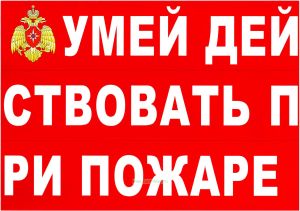Комплект плакатов Умей действовать при пожаре. (10 листов)