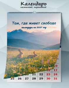 Календарь настенный, перекидной Там, где живет свобода на 2027 год