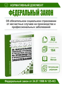 Об обязательном социальном страховании от несчастных случаев на производстве и профессиональных заболеваний. Федеральный закон от 24.07.1998 N 125-ФЗ