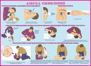 Плакат Азбука оживления