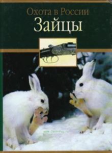 Зайцы. Охота в России