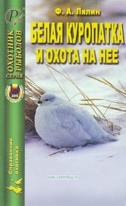 Белая куропатка и охота на нее