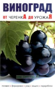 Виноград от черенкА до урожаЯ
