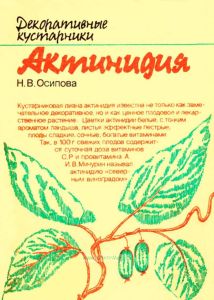 Декоративные кустарники. Актинидия