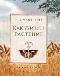 Как живет растение