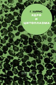 Ядро и цитоплазма