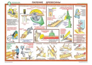 Комплект плакатов Безопасность труда при деревообработке (5 листов)