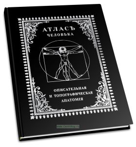 Описательная и топографическая анатомия человека. Атлас доктора Гейцмана. Книга первая