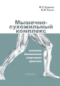 Мышечно-сухожильный комплекс