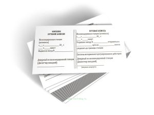 Путевая записка (Форма ДУ-50) (Приказ Минтранса России от 25.09.2025 N 350)