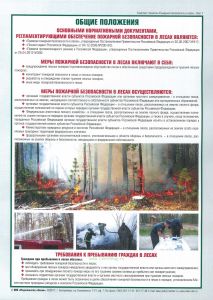 Комплект плакатов Пожарная безопасность в лесах, 6 листов