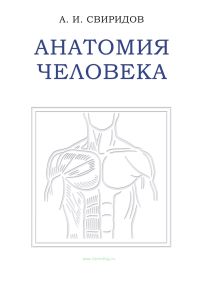 Анатомия человека