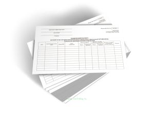 Технический паспорт путевой точки системы автоматического управления тормозами (САУТ-ЦМНСП). Результаты проверки путевых параметров (Форма ШУ-932.2э)