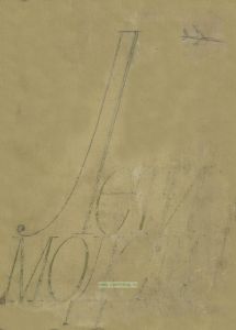 Лети, модель!