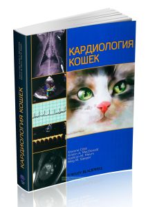 Кардиология кошек