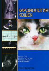 Кардиология кошек