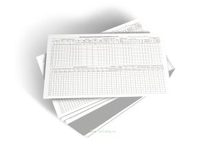 Суточная ведомость бойлерной установки №