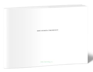 Книга осмотра стволов шахт