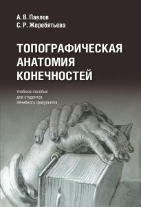 Топографическая анатомия конечностей