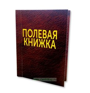 Полевая книга геолога (пикетажка)