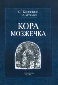 Кора мозжечка