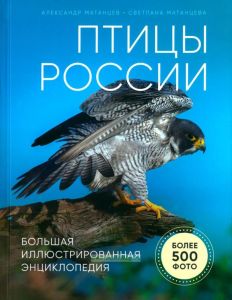 Птицы России. Большая иллюстрированная энциклопедия