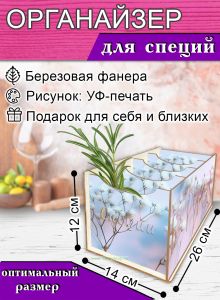 Органайзер для специй Гипсофила, 4 отсека, 12х14х26 см