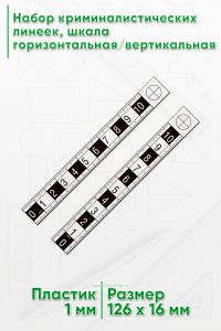 Набор криминалистических линеек 10 см., шкала горизонтальнаявертикальная