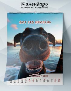 Календарь настенный, перекидной Вот это шнобель на 2025 год
