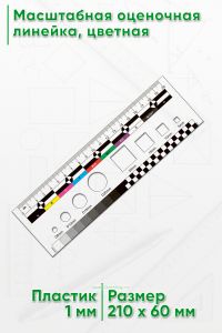 Масштабная оценочная линейка, цветная 20 см.