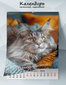 Календарь настенный, перекидной Прекрасный Мейнкун на 2025 год