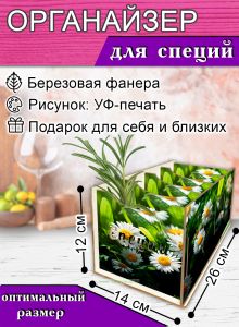 Органайзер для специй Ромашки, 4 отсека, 12х14х26 см