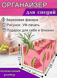 Органайзер для специй Дольки арбуза, 4 отсека, 12х14х26 см