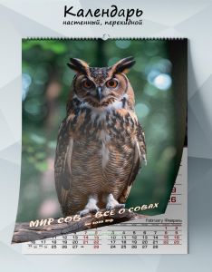 Календарь настенный, перекидной Мир сов – все о совах на 2025 год