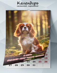 Календарь настенный, перекидной О себе: Кавалер-кинг-чарльз-спаниель на 2025 год