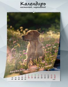 Календарь настенный, перекидной Лабрадор-ретривер и его год на 2025 год