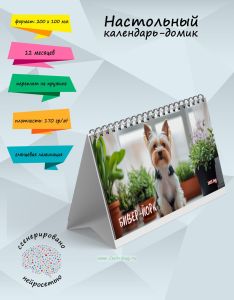 Настольный календарь-домик Бивер-Йорк  на 2025 год