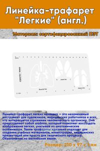 Линейка-трафарет Легкие (англ.)