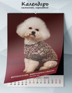 Календарь настенный, перекидной Фотоссесия. Винтажные свитера на 2025 год