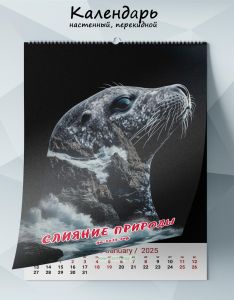 Календарь настенный, перекидной Слияние природы на 2025 год